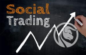 social trading w praktyce