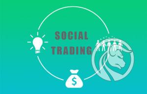 social trading wady zalety