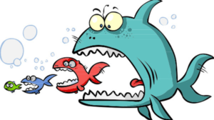 Stop Loss: grube ryby
