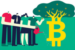 obrazek wpisu
