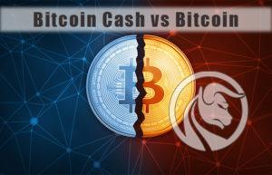 bitcoin vs bitcoin cash