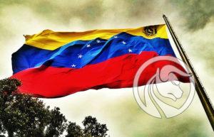 wenezuela petro
