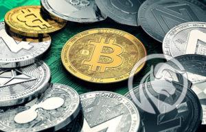 bitmarket poszkodowani
