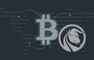 bitcoin - złoto xxi wieku