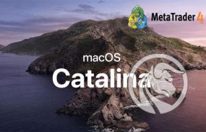 metatrader 4 catalina