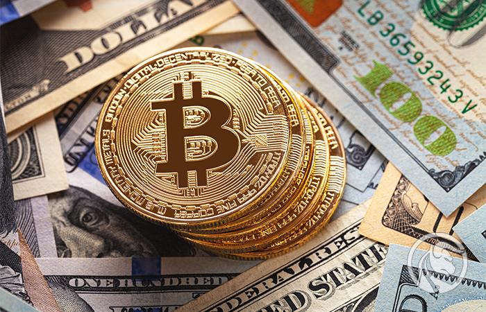 in bitcoin investieren wie 50 dollar in kryptowährung investieren