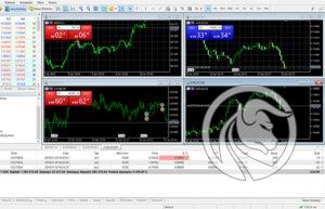 metatrader 5 opinie