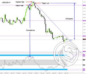 usdcad jim poniat struktura rynku