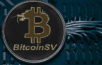 bsv bitcoin satoshi vision