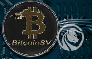 bsv bitcoin satoshi vision