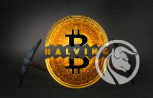 halving na bitcoin