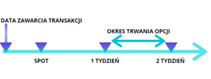 OPCJE kontrakty terminowe
