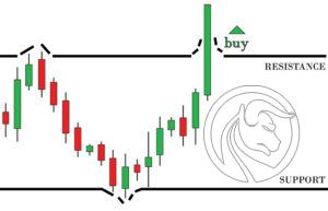 wsparcia i opory forex