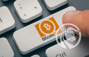 bitcoin cash