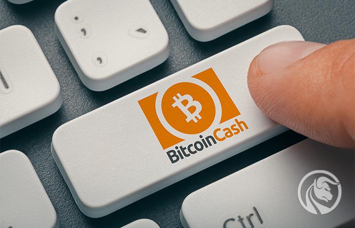 Bitcoin Cash (BCH) – kryptowaluta, która chce być „prawdziwym” Bitcoinem