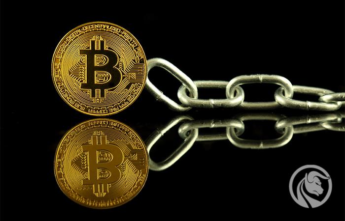 Blockchain fork – czym jest i jak wpływa na cenę Bitcoina?