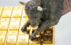 Forex Gold Forecast