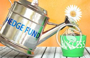 hedge fund