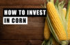 como investir em milho