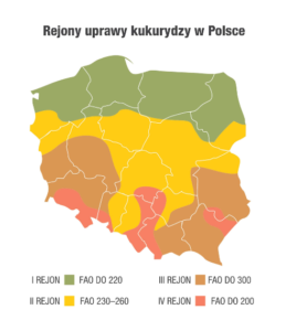 jak inwestować w kukurydzę polska