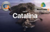 Metatrader 4 auf Macos Catalina
