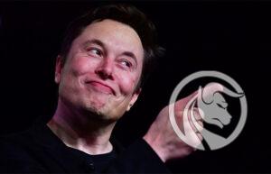 akcje tesli elon musk