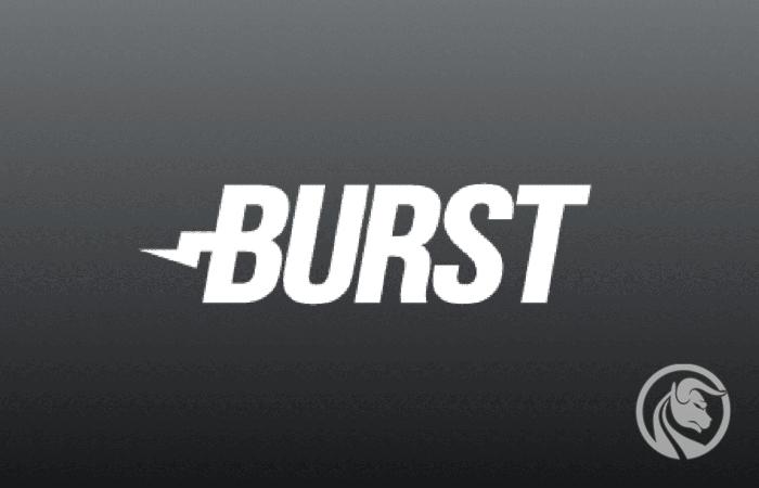 Burstcoin (BURST) – energooszczędna kryptowaluta