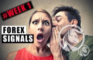 free fx signals 1
