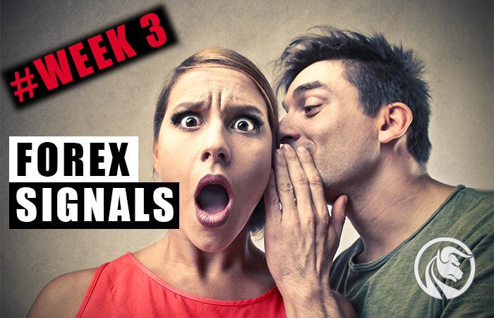 Free FX Signals – darmowe sygnały na Androida. #Tydzień III