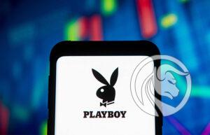 playboy stocks