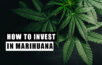 marijuana how to invest in the cannabis market