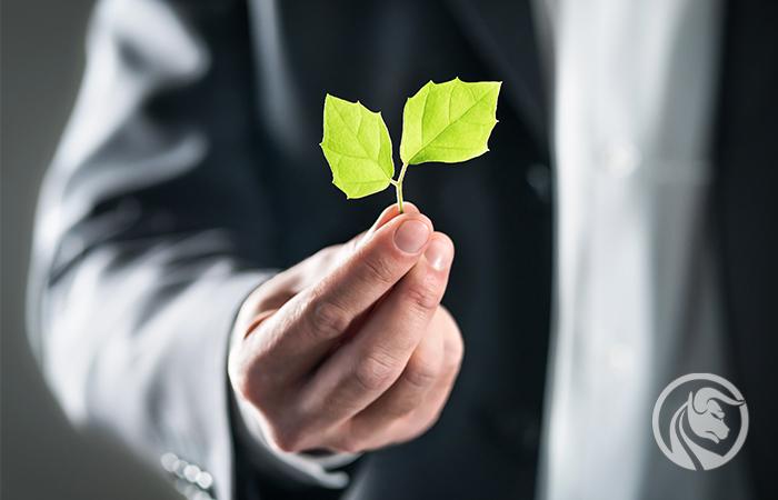 Zmiany klimatyczne – czas na ekologię – Prognoza Saxo Banku na IV kwartał