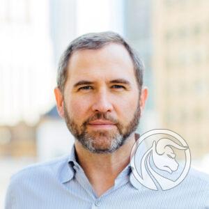 Brad Garlinghouse ripple ceo
