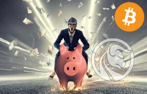 kryptoemerytura listopad 2020