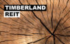 timberland reit
