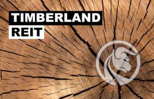 timberland reit