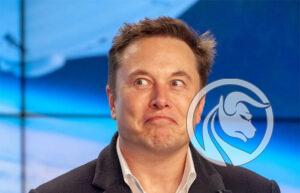 akcje tesli elon musk
