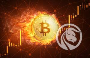 bitcoin bańka