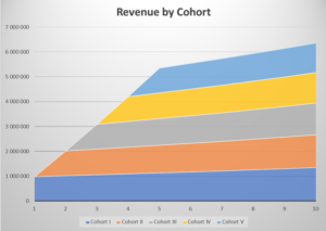 01 Revenue Cohort
