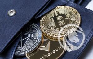 zakątek kryptowalut