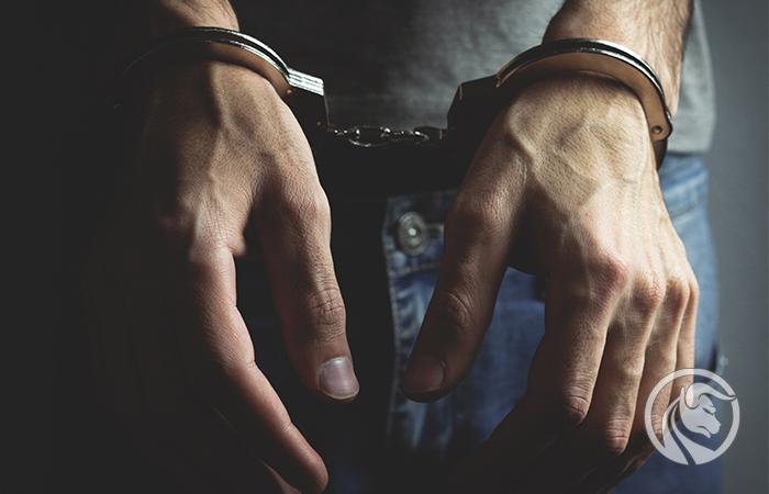 Ukraińska cyberpolicja aresztowała kolejnych „łowców frajerów”