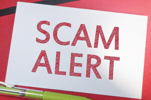 the pacifica group reviews scam