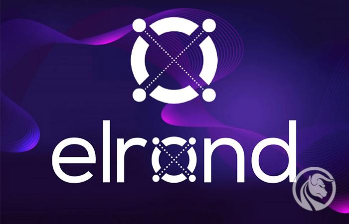 Elrond (EGLD) – kryptowaluta do Internetu Rzeczy