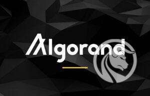 algorand algo