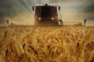 Rückgang des Getreidemarktes