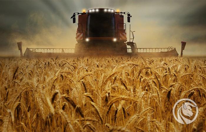 hossa na rynku zbóż