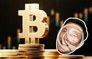 tesla bitcoin cryptocurrency market