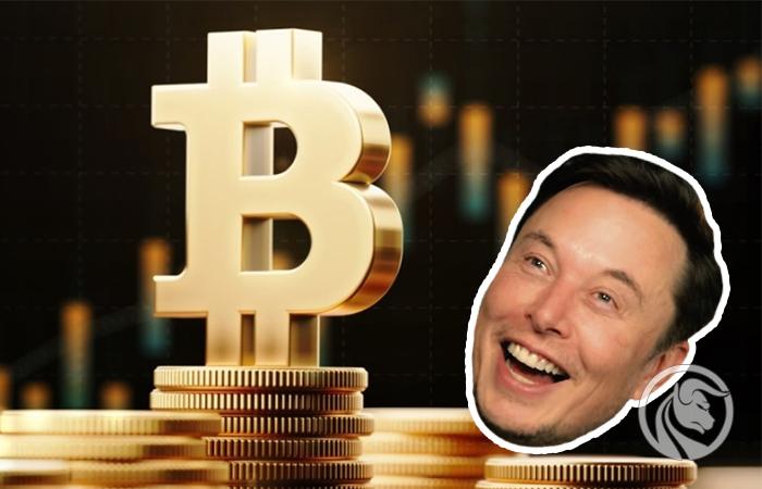 Tygodniowy przegląd rynku kryptowalut: 50% dominacji, 10% sprzedaży