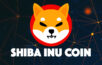 SHIBA INU coin
