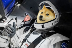 doge to the moon
